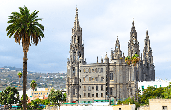 Las palmas de Gran Canaria